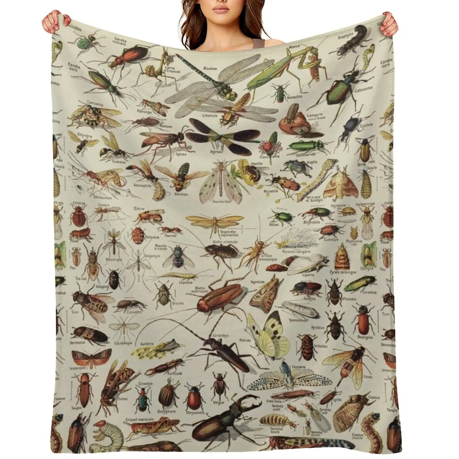 

Insects Chart. Scientific Illustration, text in french Throw Blanket For Baby Hairy decorative Extra Large Throw Blankets