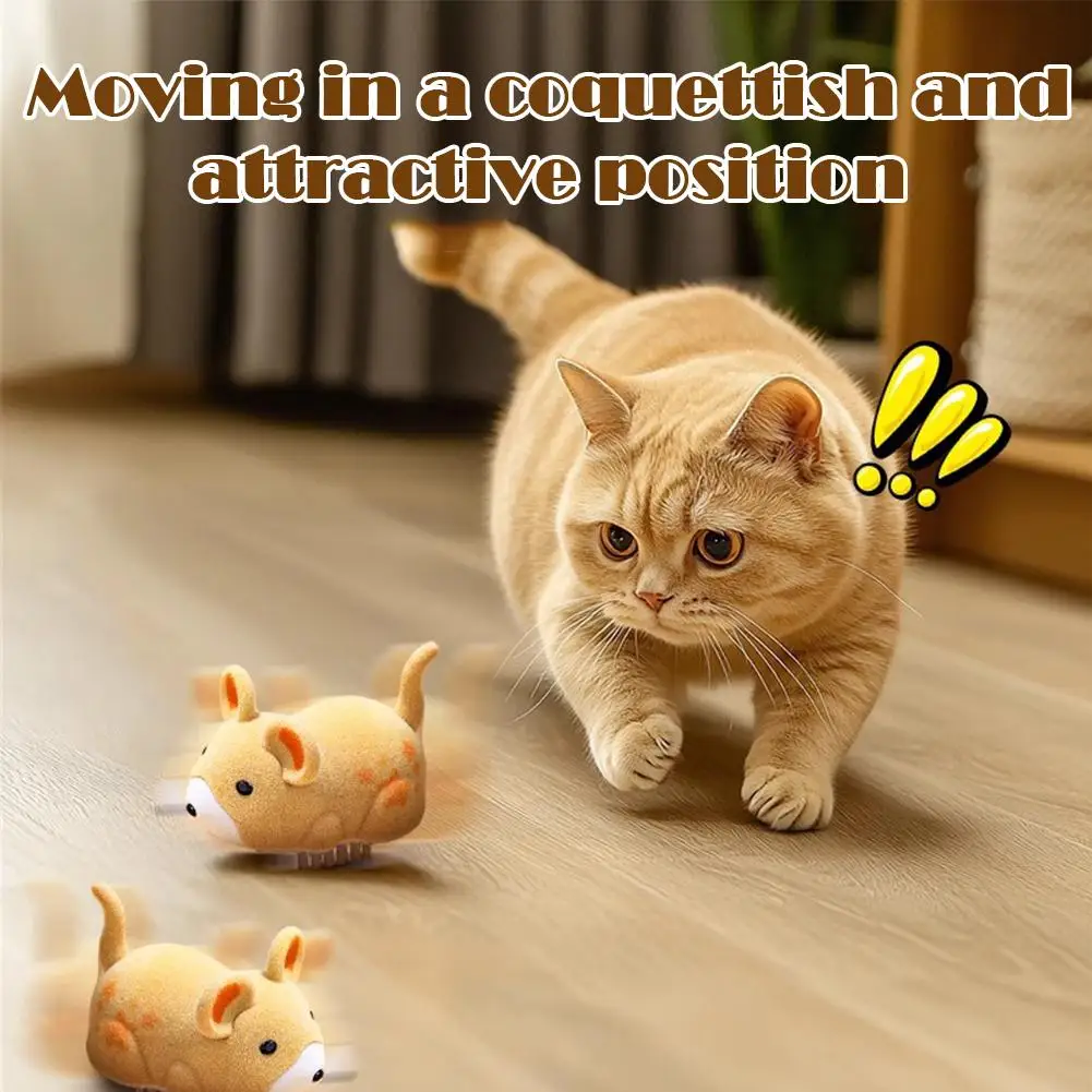 Thumbnail 3 - #5 Trending Cat Toys Right Now