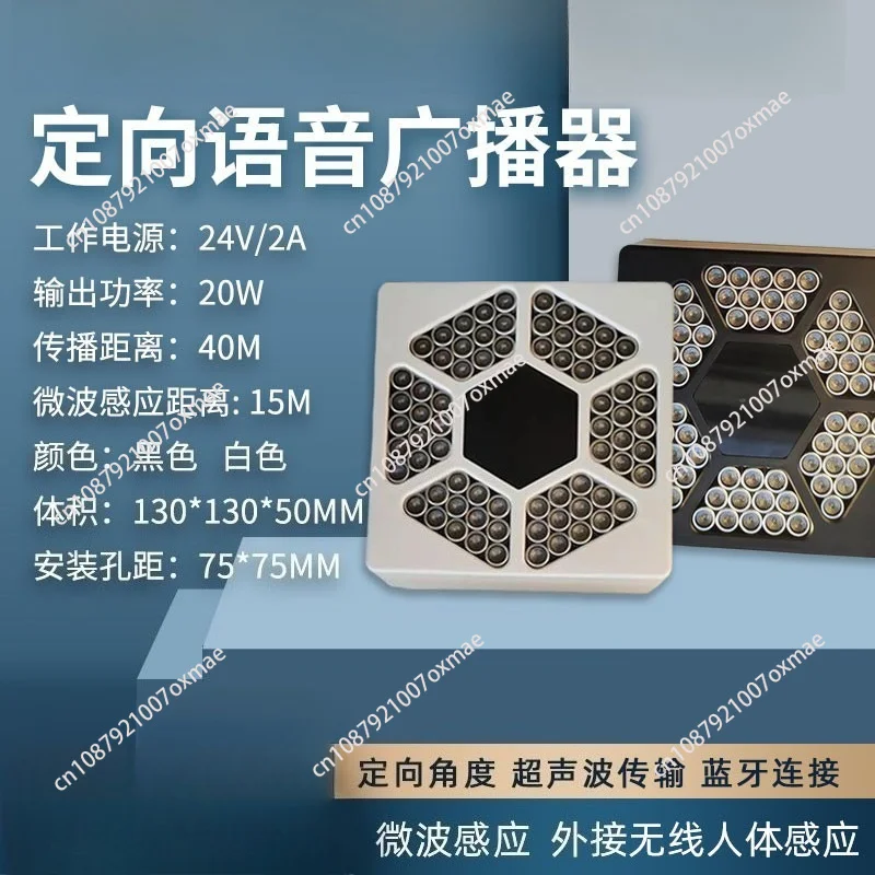 Directional Voice Broadcaster 40M Range - Ultrasonic Focused Sound, TF/Bluetooth/USB, 20W, 24V, for Exhibitions/Museums