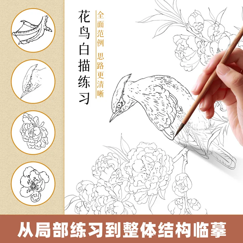 Introduction To Chinese Painting White Sketching, 6 Volumes, Traditional Chinese Painting, Flowers, Figures, Flowers and Birds