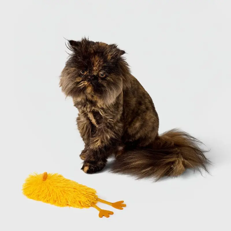 

Fluffy Catnip Chicken Kicker Toy for Cats with Crinkle Texture and Beak Design Interactive Plush Plaything Pet Supplies