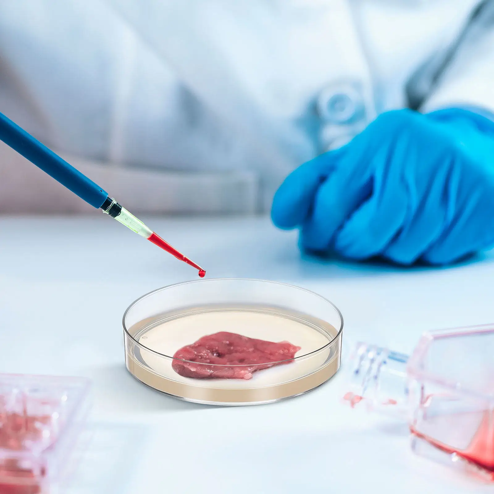 

10pcs Nutrient Agar Plates 7Cm Prepoured Petri Dishes Thick Agar Layer For Stem Science Experiments Laboratory Supplies