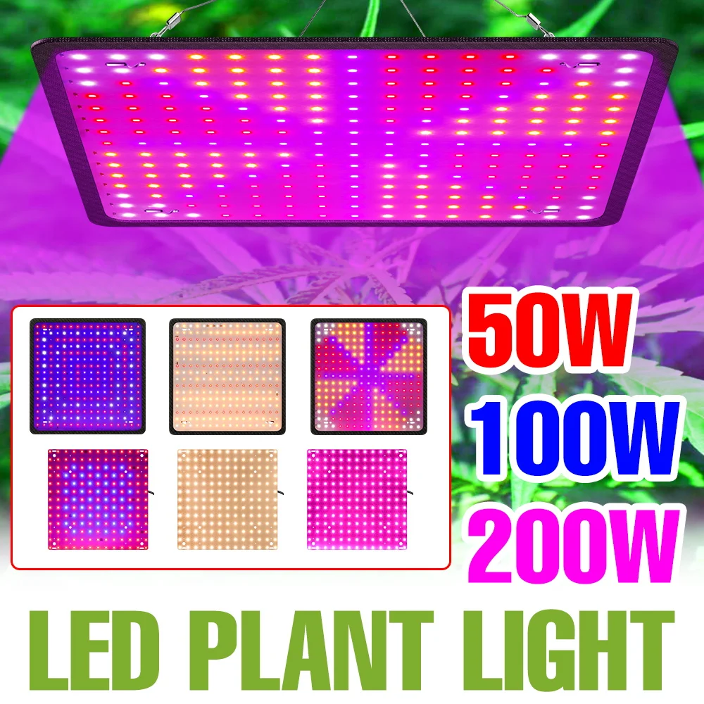 

200W Full Spectrum LED Grow Light 220V Quantum Board Plant Cultivation Lamp Greenhouse Tent Tomato Vegs Potted Flower Fill Lamps
