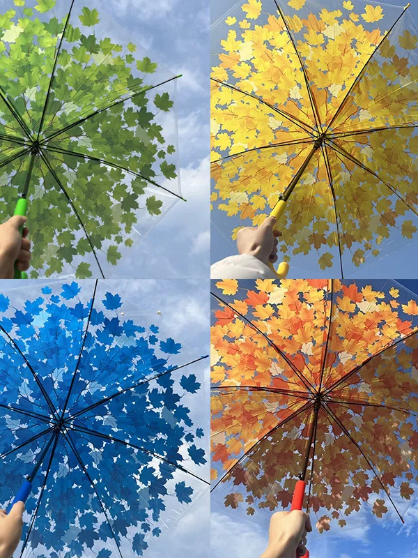 Transparent Maple L… - image