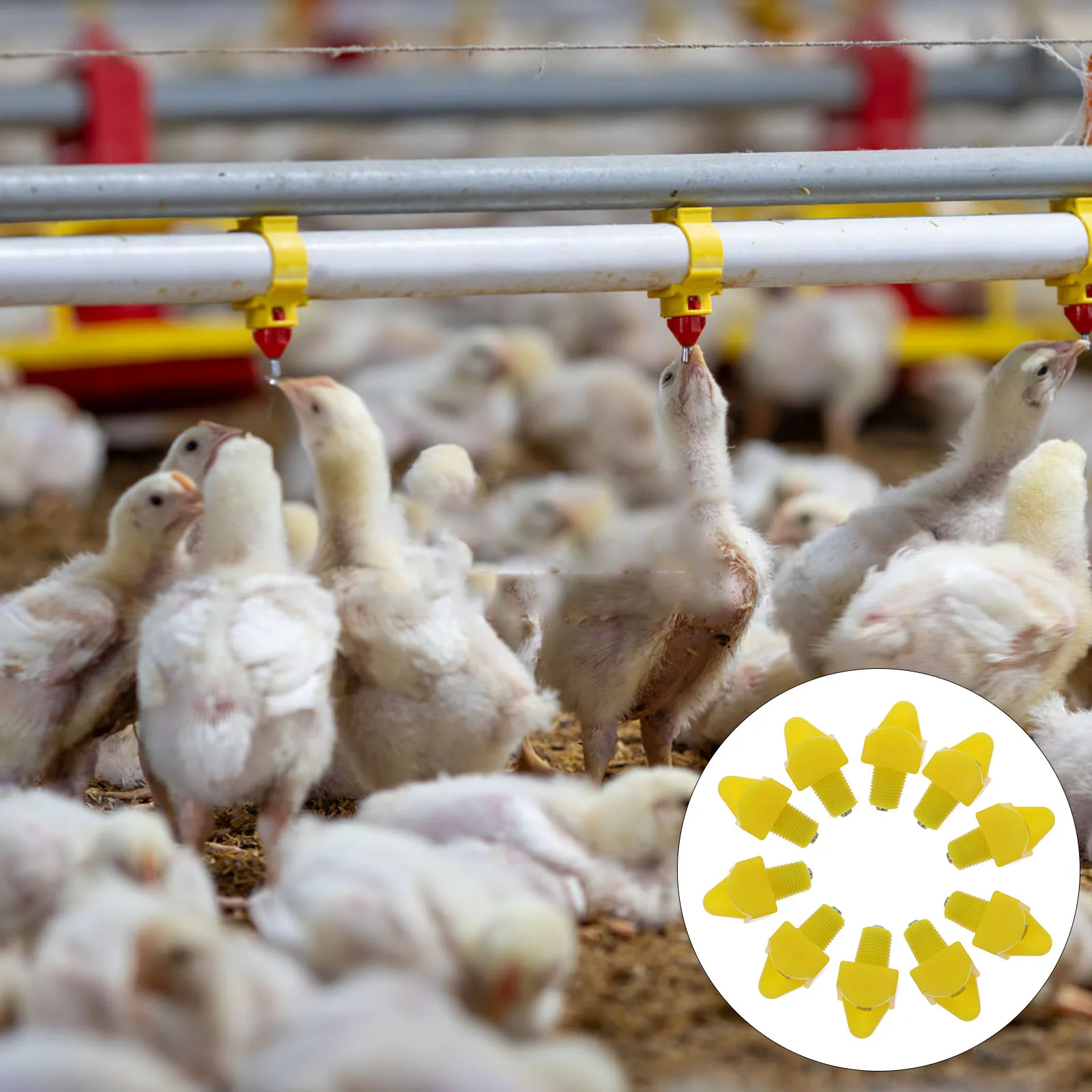 

10pcs Poultry Waterer Nipples Automatic Chicken Dispenser Farm Accessories Chick Water Feeder Compatible Buckets Barrels Durable