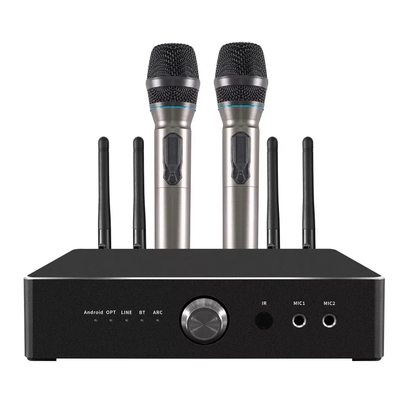 Professional 300W/600W Karaoke Amplifier Mixer Sound System Receiver for Home Party KTV Gatherings - Audio Amplifiers