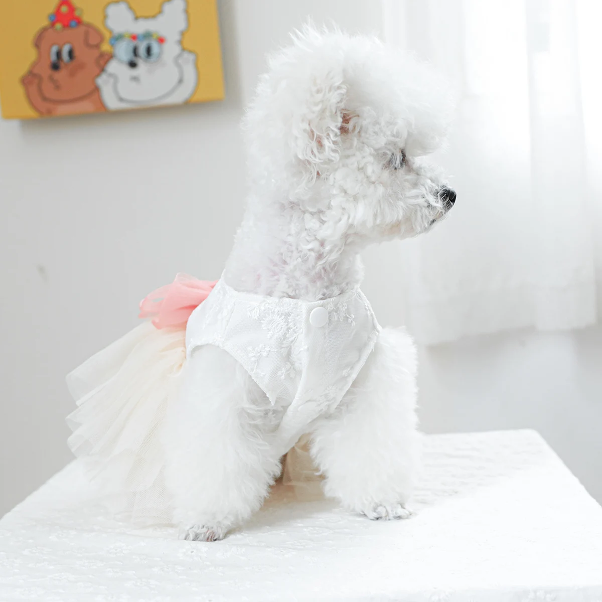 1PC Pet Clothing Cat Spring/Summer Thin White Micro Wedding Dress Princess Dress Suitable for Small and Medium Dogs