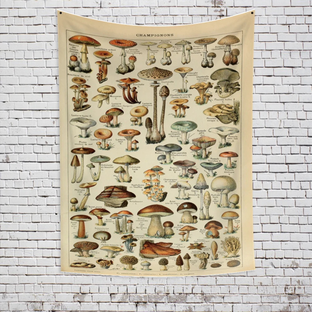 Mushroom/Fungi Tapestry Wall Hanging Decor Flowers Plant Champignon Identification Chart Diagram Wall Art Boho Room Decor House