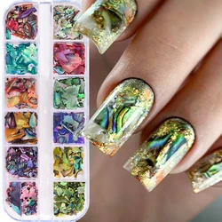 6/12Grid Abalone Sea Shell for Nail Art Decoration 3D Charms Irregular Fragments Seashell Texture Slices DIY Manicure Paillette