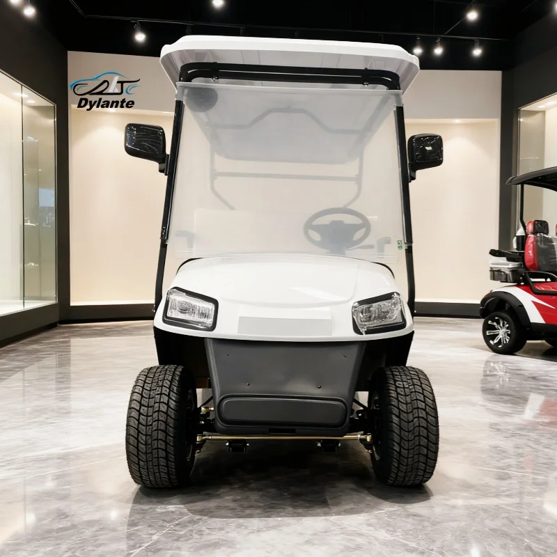 

2 Seat Luxurious Street Legal Lithium Battery 2 Seater Electric Golf Cart Buggy Adult Folding Cargo Cart With Rear Cargo Box