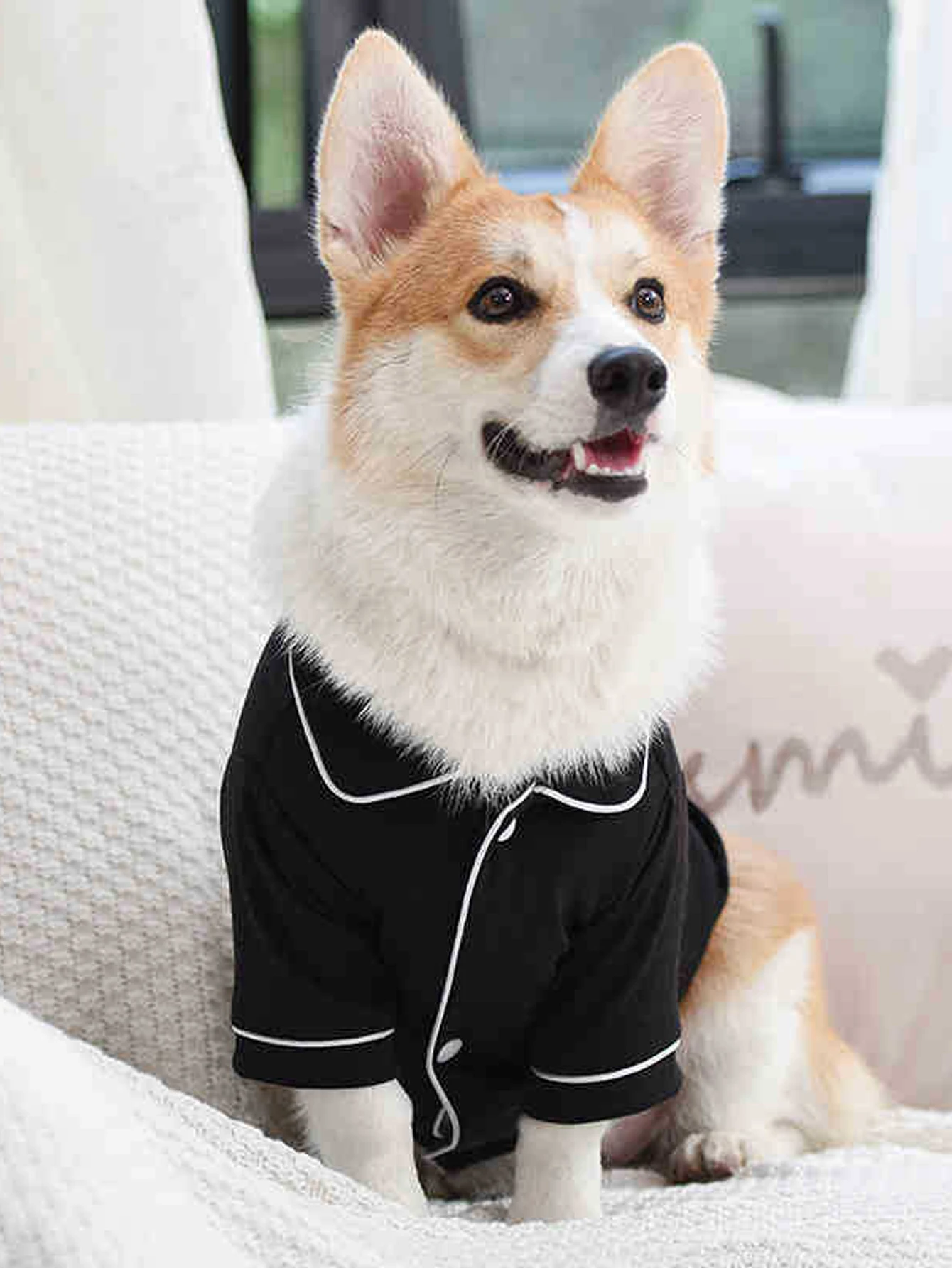 Un pijama lujoso y cómodo para perros de compañía, ropa de verano para perros pequeños, adecuado para peluche, Bichon Frise, York