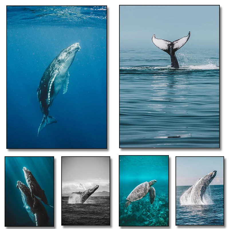 Kunstposter Tier-Leinwandgemälde Nordische Wandbilder Wohnzimmer-Dekoration Ungerahmt Meereskreaturen Riesige Walhaie Schildkröte