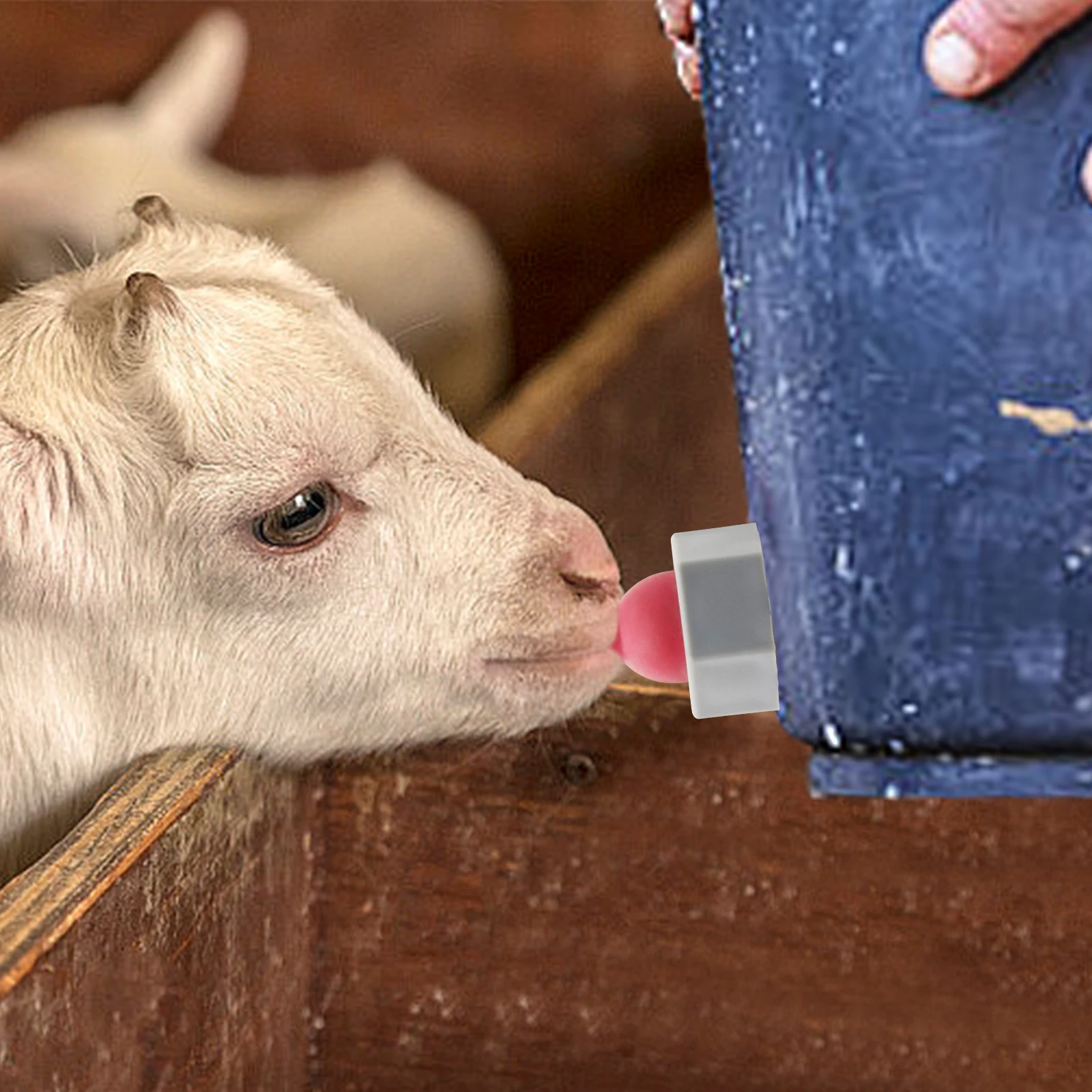 1 مجموعة الحيوان مصاصة الأبقار المغذية العجل زجاجة حليب شرب الحلمة مزرعة الحيوان تغذية لوازم نافورة مشروبات الأغنام العجول الماعز