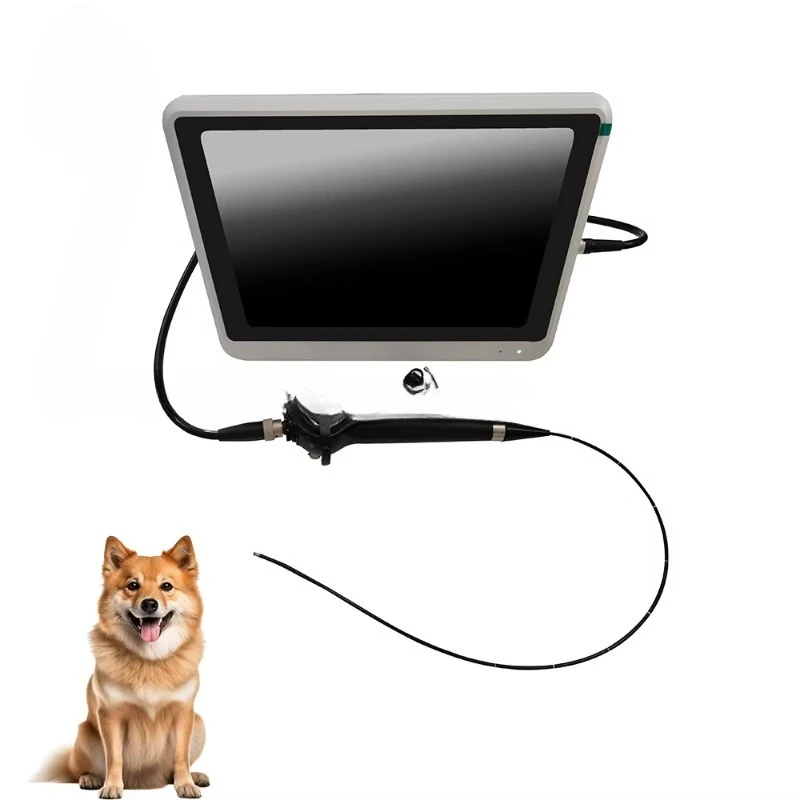 EUR Veterinary Portable Veterinary Endoscopy System Premium High-Resolution Video Processor Canine Veterinary Equipment