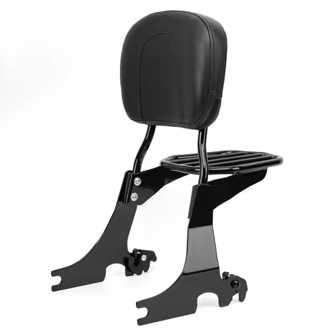 Sportster Detachable Passenger Backrest Sissy Bar with Luggage Rack for Harley 2004-2022 Sportster XL 883 1200