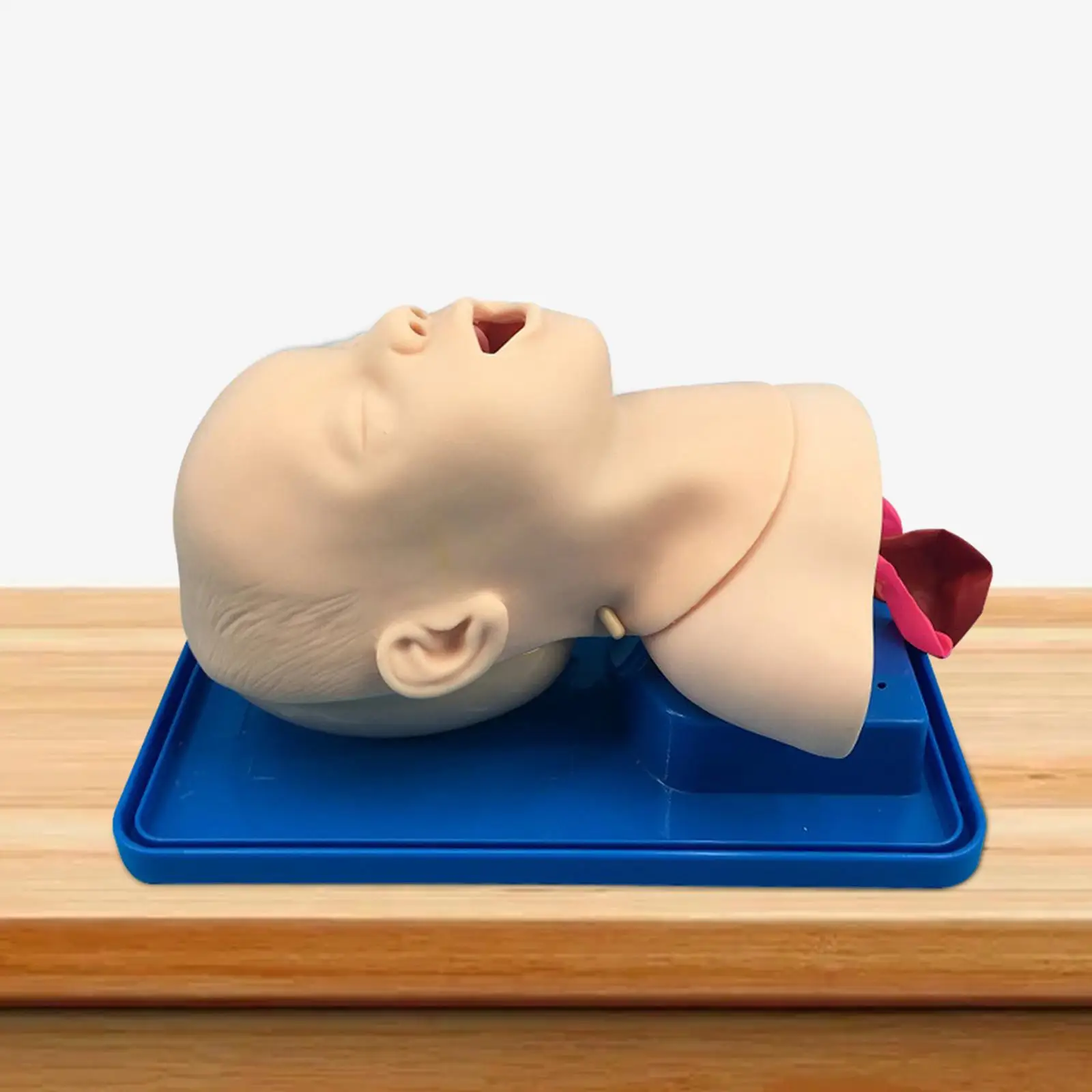 

Pediatric Intubation Manikin Easy to Observe Infant Intubation Trainer for First Aid Simulation Training Study Practice Students