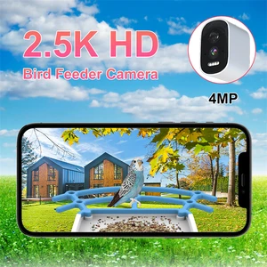 11 Hauptverkäufe Solarpasser - №10