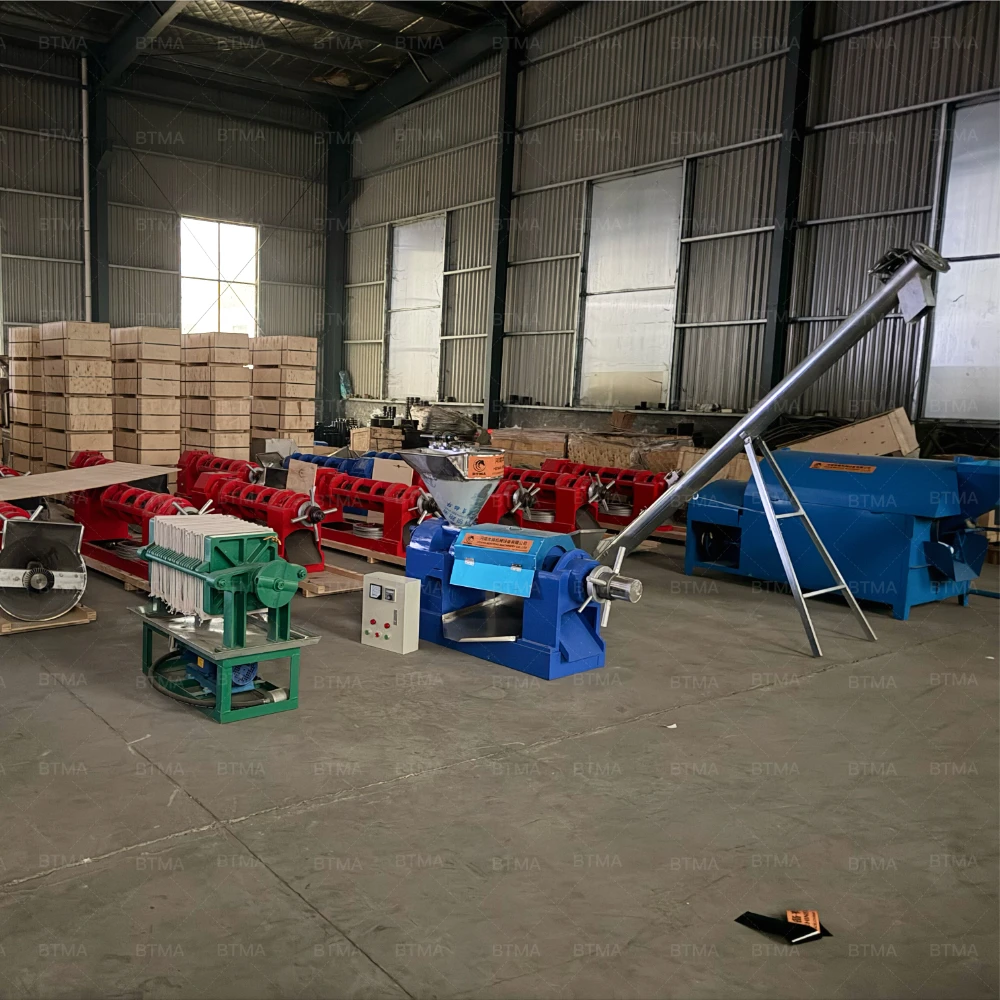 Commercial Automatic Small Oil Press Production Line for Soybean Walnut High-Yield Stainless Steel Edible Processing Machinery