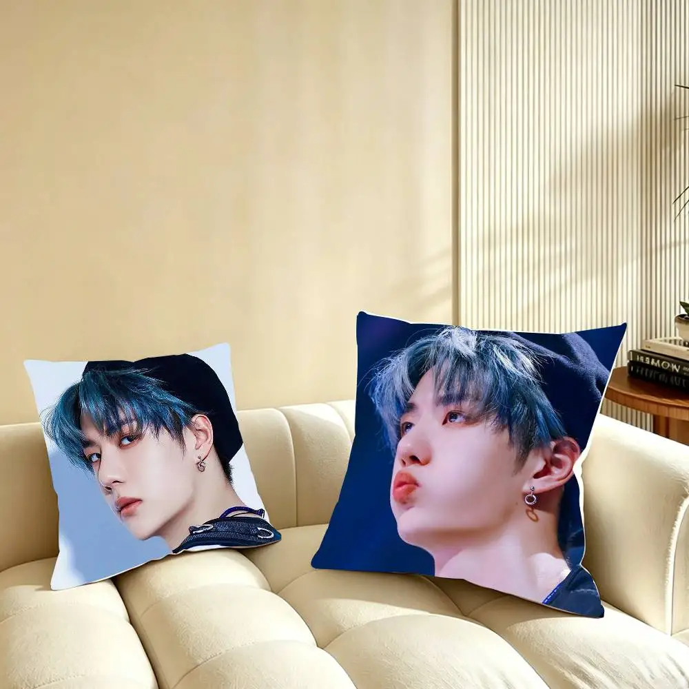 

Wang Yibo Pillow Case for Sofa Living Room Home office Decor Protective Cover