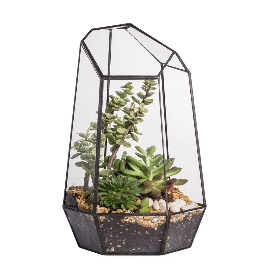 

Geometric Glass Terrarium Planter for Succulent, Small Cacti, Black Irregular Opened Container Pot, Indoor Home Garden Office Ta