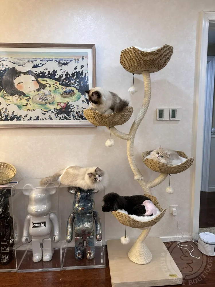 

Flower tree cat climbing frame cat grab column cat nest cat tree cat jumping platform cat toy grinding claw cat climbing frame