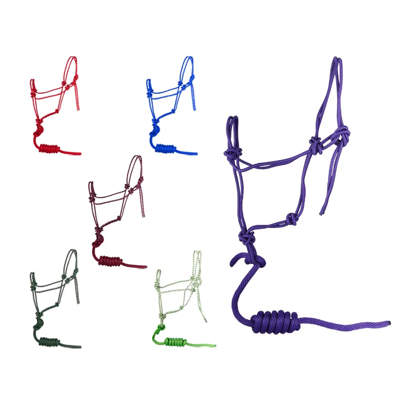 Neckholder, Farbe, integriert, freie Größe, Kordel, Trainingseil, Pferdegeschirr, Reitsportzubehör