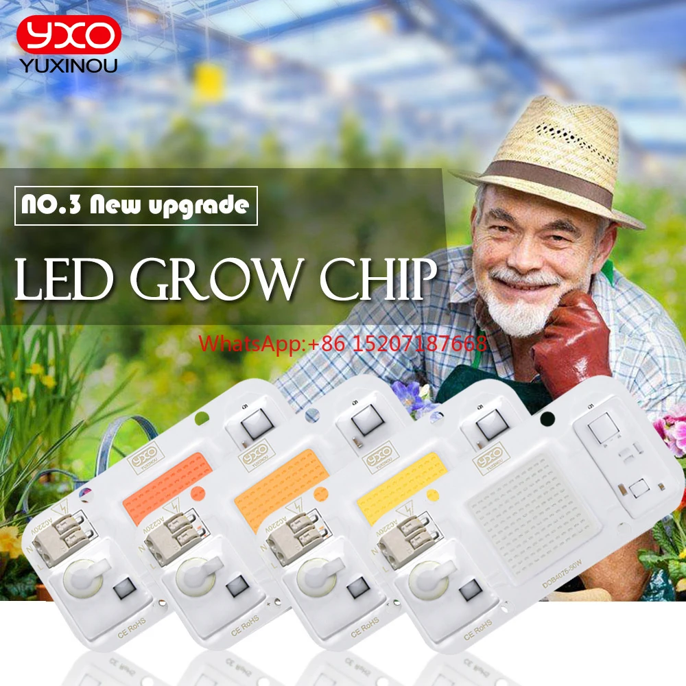 

DIY LED SMD Chip Lamp 30W 50W Light Chip 230V Input Directly Smart IC Fit For DIY FloodLight Cold White Warm White