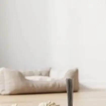 Vacuum Cleaner Accessory Robot Vacuum Side Brush Optimal Cleaning Efficiency Sturdy Construction For Home Daily Cleaning