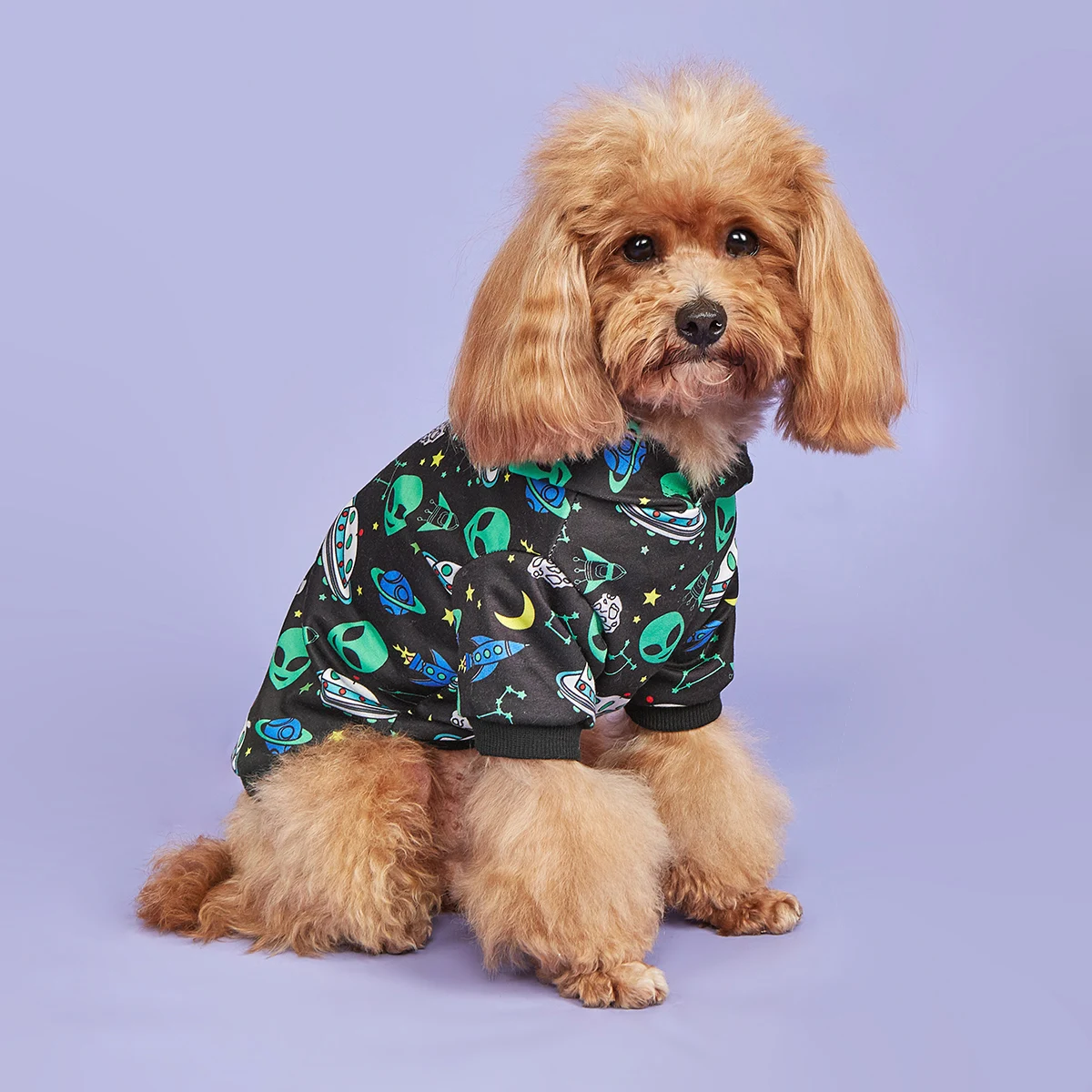 Alien Hund Hoodie Hund warme Jacke Mantel Welpen Sweatshirt fliegende Untertasse Weihnachten Halloween Hund Kostüm Winter Hund Kleidung Haustier App