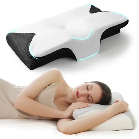 Memory Foam Pillow Core Ergonomic Ice Silk Adult Memory Cotton Neck Support Pillow