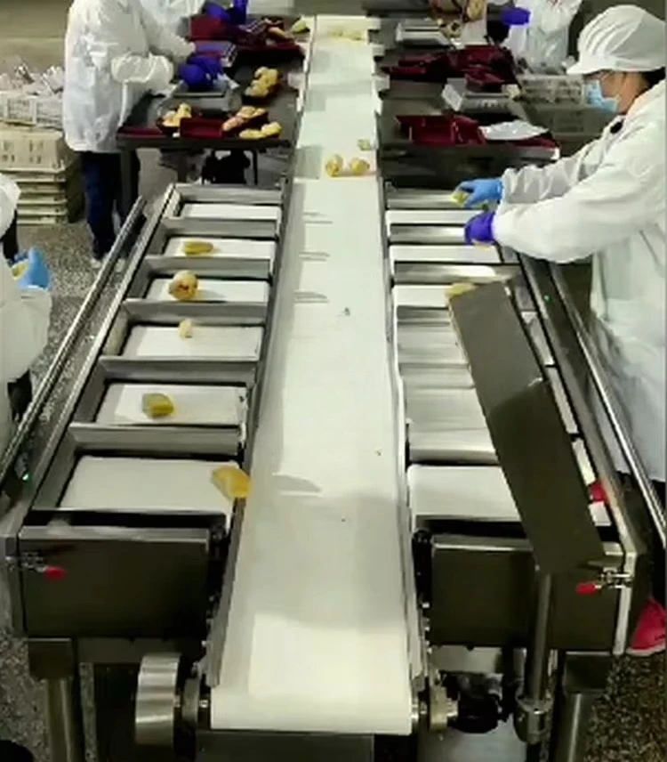 Weight combination fish fillet weighing sorting machine fish packaging machine set weight