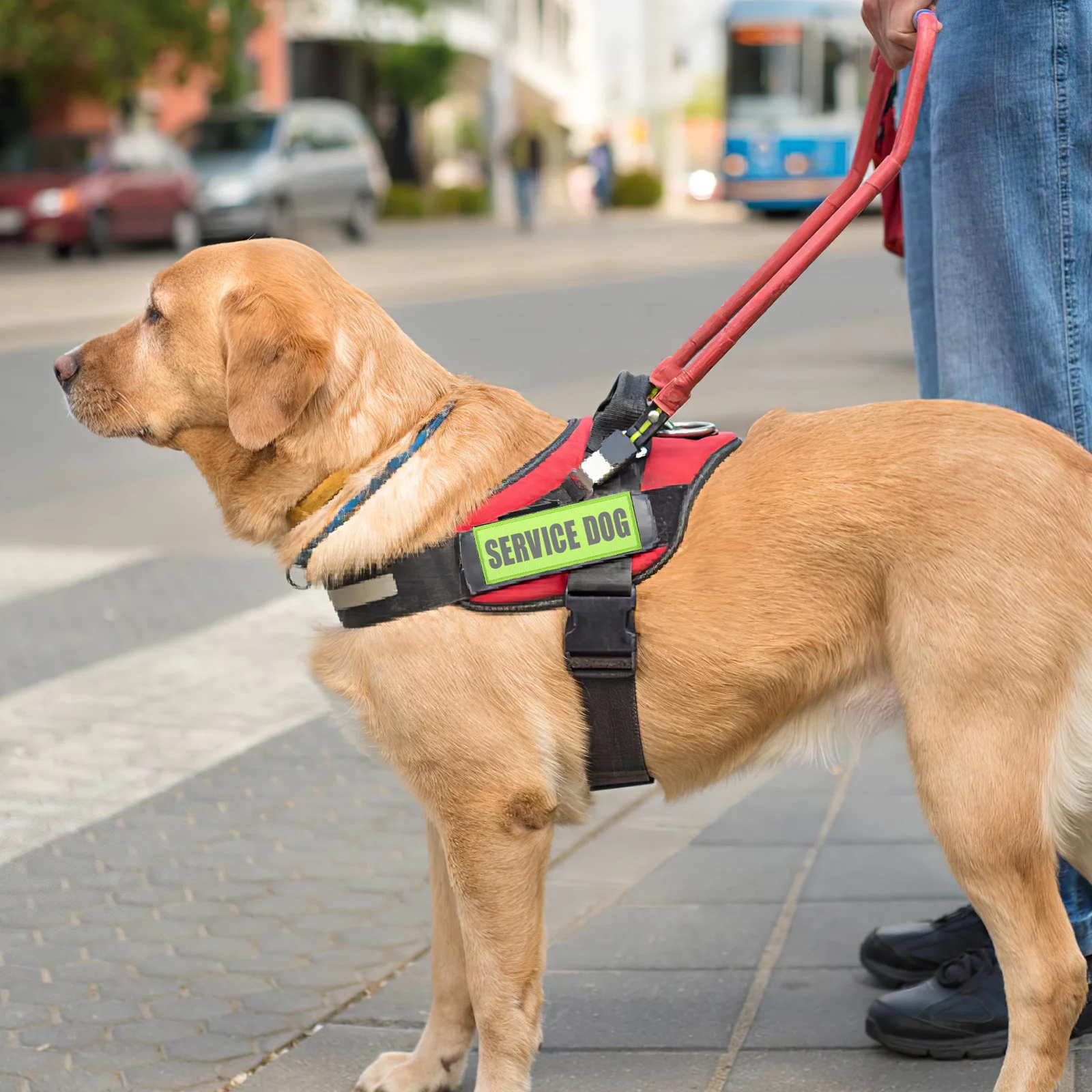 

2pcs Service Dog Patches Reflective Pet Vest Label Removable Training Harness Tag For Working Dog Gear Safety Patch Handicraft