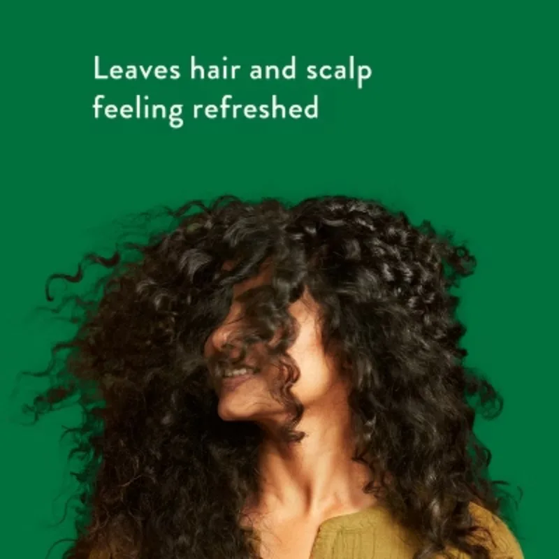 نعناع فروة الرأس تحديث 2 في 1 للرجال والنساء - العناية بالشعر وفروة الرأس. ينظف ومرطب لدعم صحة الشعر وفروة الرأس