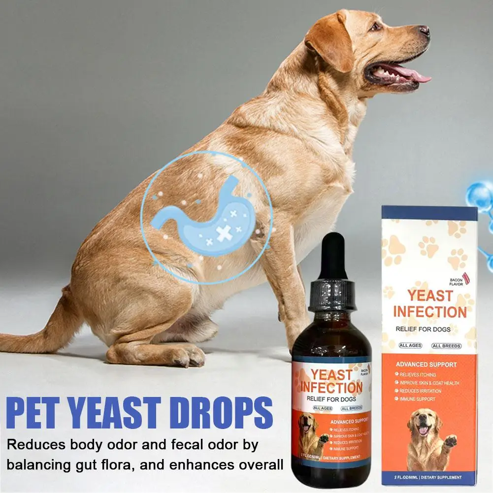 Gouttes de levure pour animaux de compagnie 60 ml pour chiens et chats - Favorise la santé intestinale, l'absorption des nutriments et améliore la qualité de vie globale