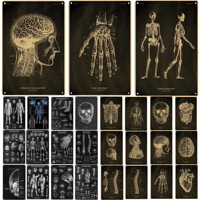 Anatomisches Skelett, Tafel, Metallposter, DIY, Vintage, Zuhause, Zimmer, Medizin, Student, Blechschild, Platte, medizinisch