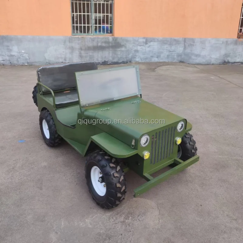 

QIQU Classic Off-Road Style 48V 500W Motor with Music & Lights 2-SeaterAll Terrain Electric Go Kart