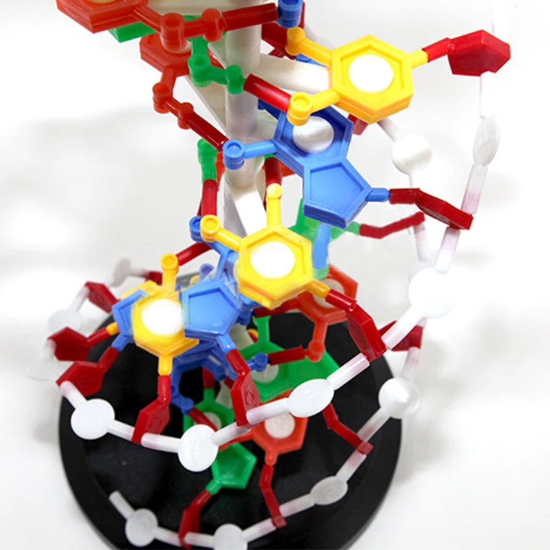 Teaching Resources Medical Science DNA Double Helix Structure