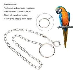 Stainless Steel Split Foot Chain for Large  Pet Training Anklet Ring for Birds Parrots Anklet Ring for Large