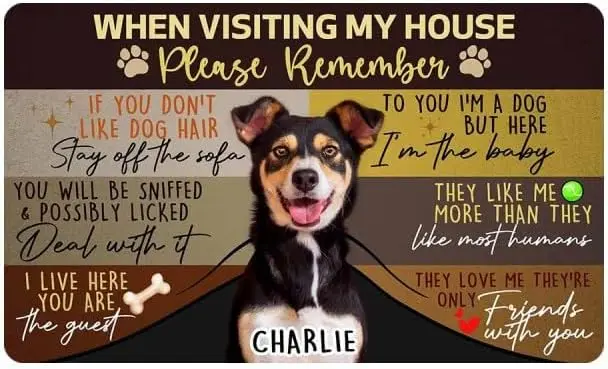 Funny Dog Doormat Welcome Mat Pet Owner Gift House Decor for Dog Lover Christmas Mat for Puppy Puppy Friend Keepsake mat