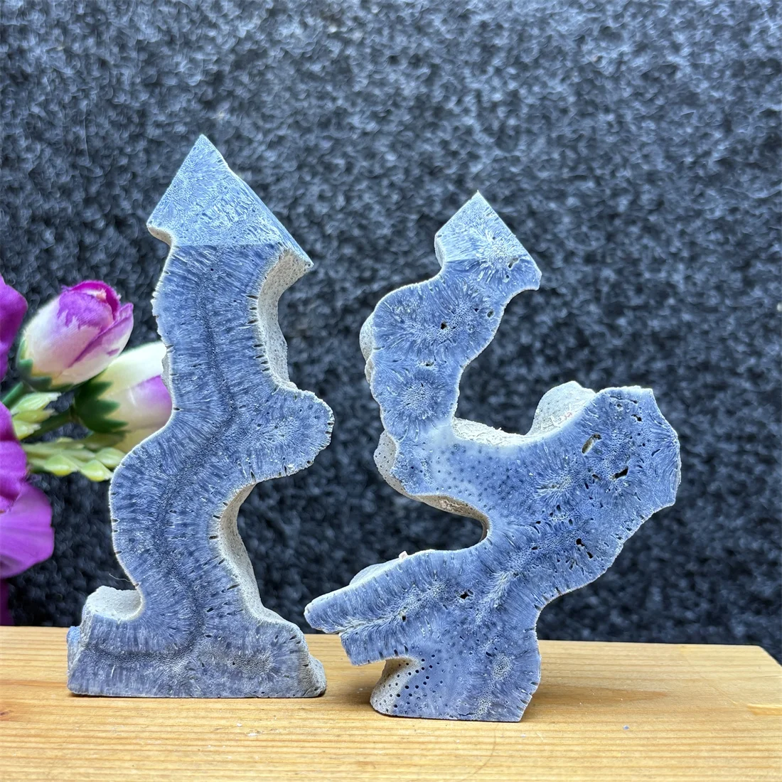 Rare Blue Ocean Coral Specimen Stone Slab Polished Crystal Slice Unique Vortex Pattern Bo Shi Home Decoration Loose