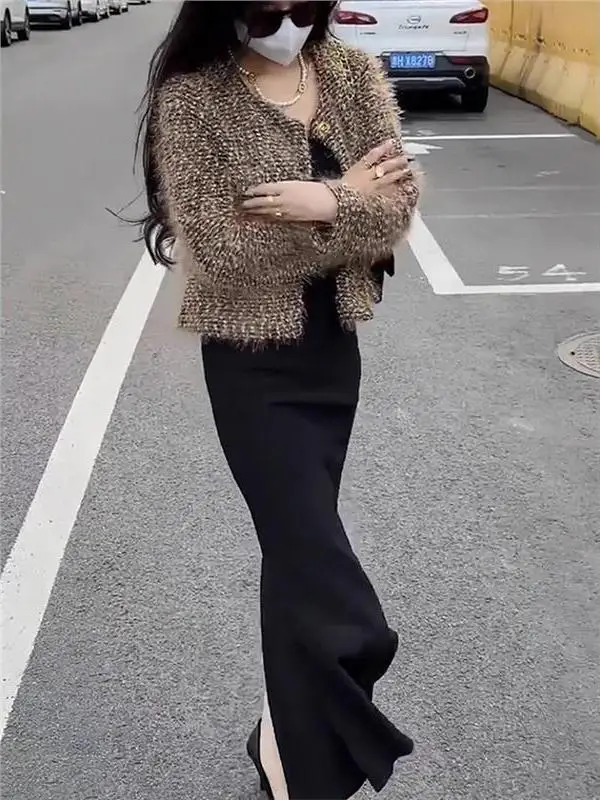 Chic Long Sleeve Short Coat Women's Autumn Winter 2024 New Korean Version High-End round Neck Furry Top Fashionable Tassel Trim