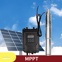 750W DC48V Solar DC Well Pump Lift 140M With Liquid Level Sensor Kit and MPPT Controller Solar Drilling Well Pump 2000L/Per Hour