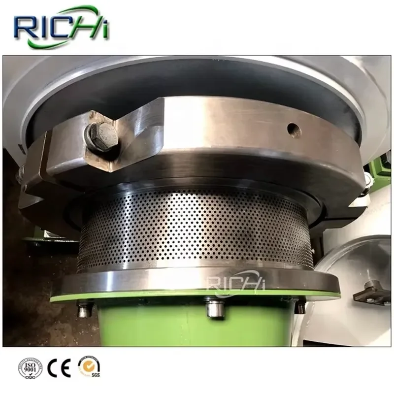RICHI 1-2T/H Chicken Goat Pig Feed Pellet Machine for Sale Philippines Malaysia