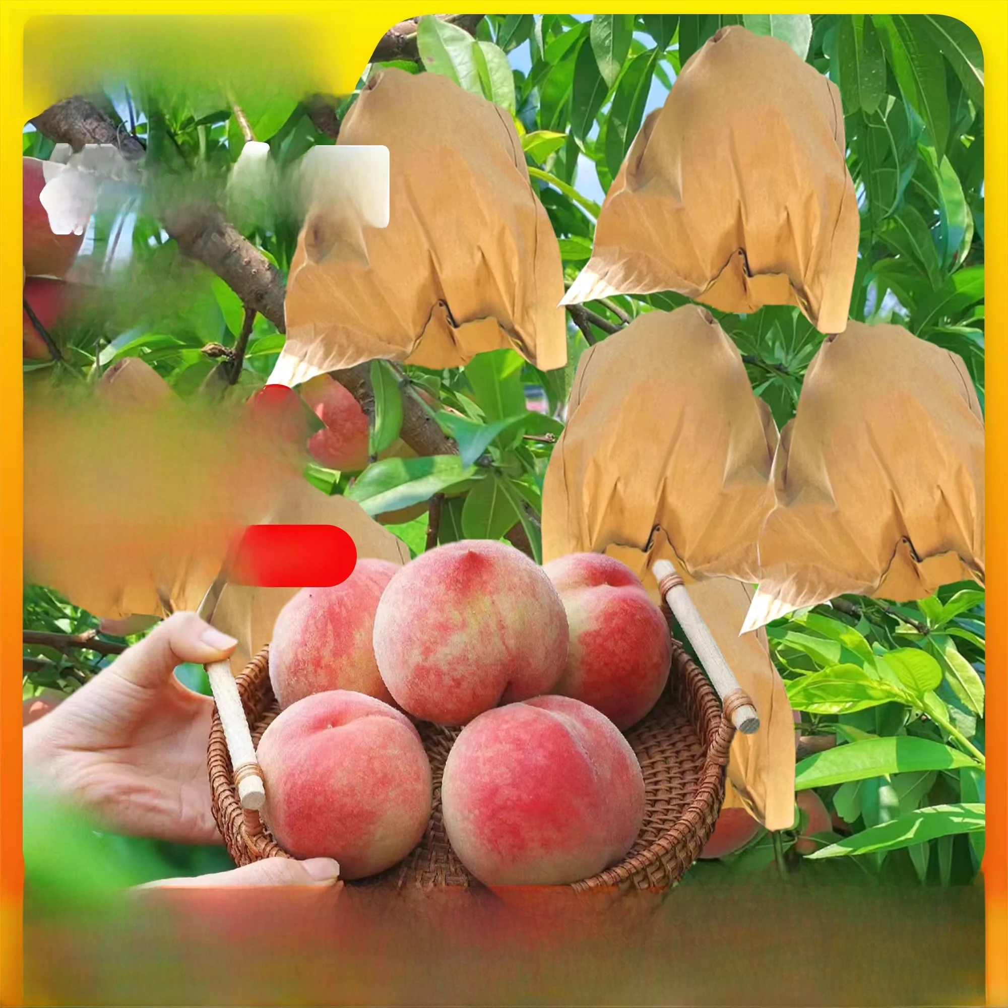 special-bag-for-peach-and-pear-fruit-protection-against-pests-and-birds-yellow-peach-and-pear-net-bag-paper-bag-preservation