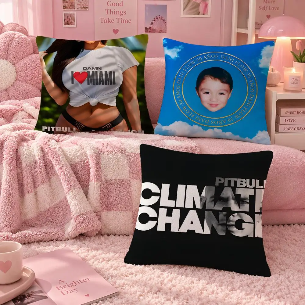 Rapper Dance Pop Pitbull Cushion Cover Soft Throw Pillow Cover Washable Plush Cushion Case for Sofa Bed Living Room