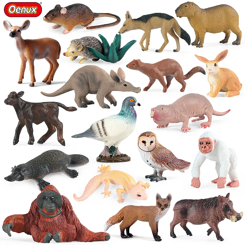 Oenux novos animais selvagens floresta orangotango pombo ouriço aardvark capivara figura de ação modelo estatuetas coleção pvc crianças brinquedo