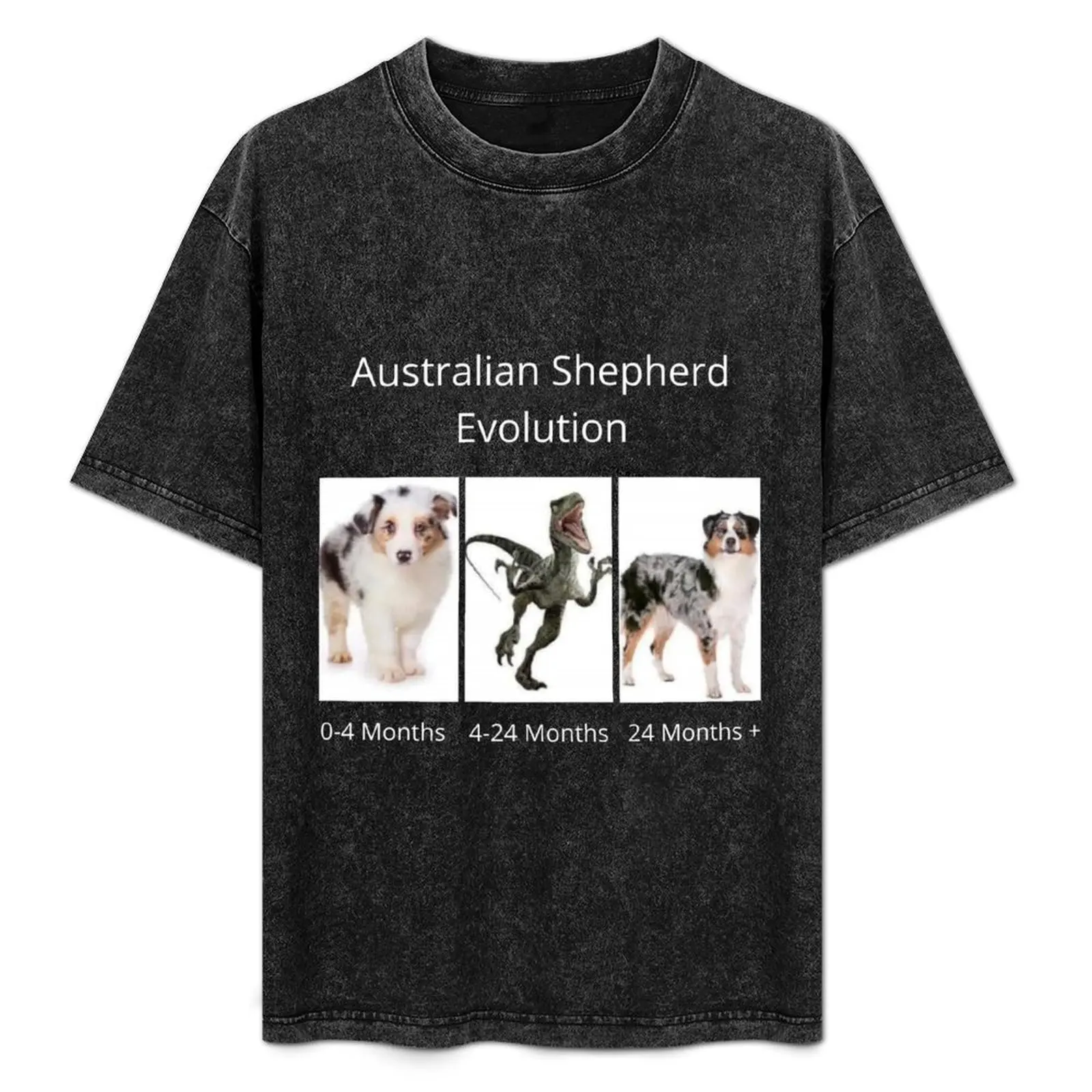 

Australian Shepherd Evolution T-Shirt Blouse customs heavyweights mens t shirt