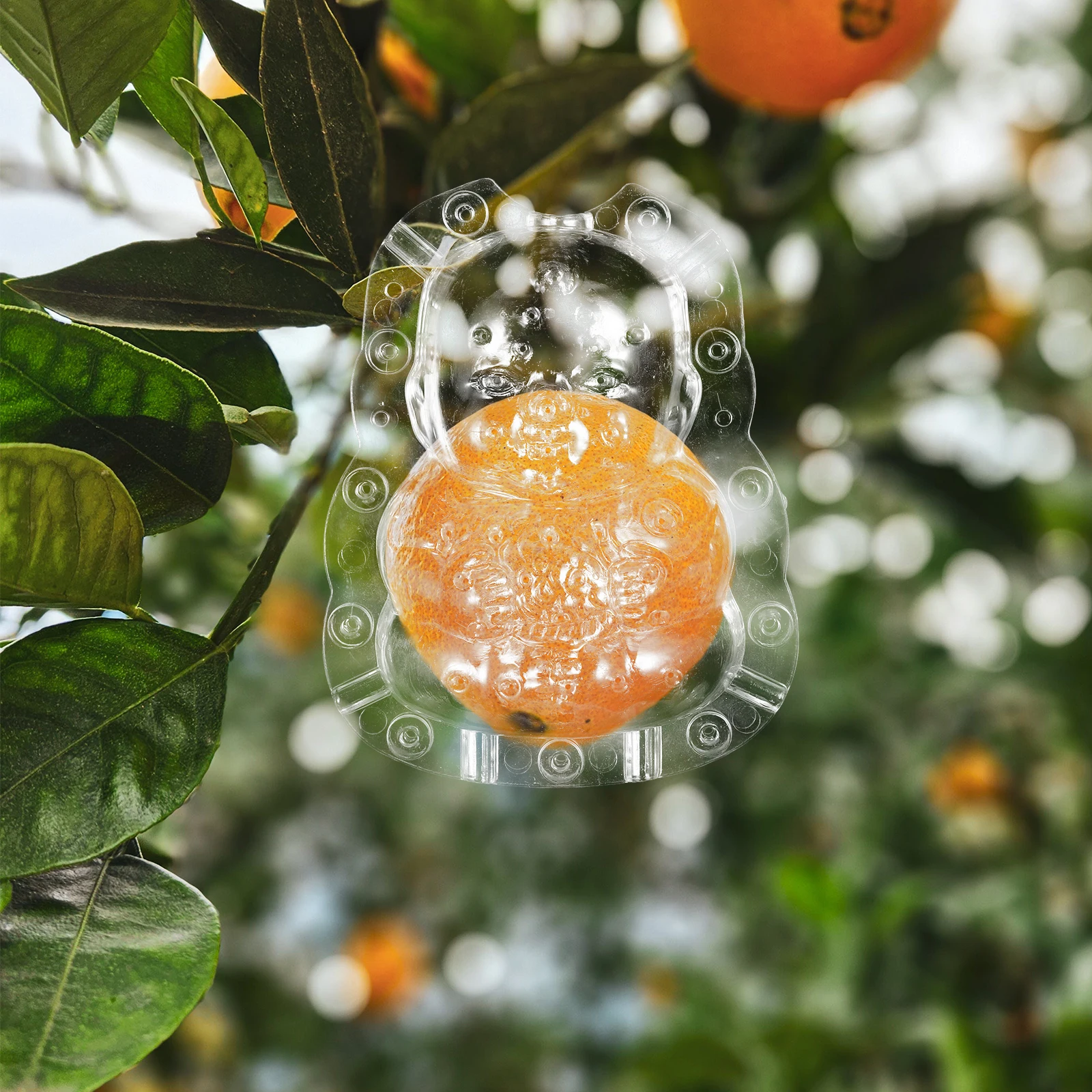 

2Pcs Fruit Shaping Mold Ginseng Fruit Growth Tools Creative Melon Molds Gardening Utensils