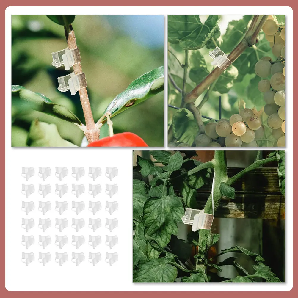 

100 pcs Grafting Clips Tomato Plants Support Clamps Gardening Tool Sapling Fixing Clamp Plant Cage Sturdy Plastic