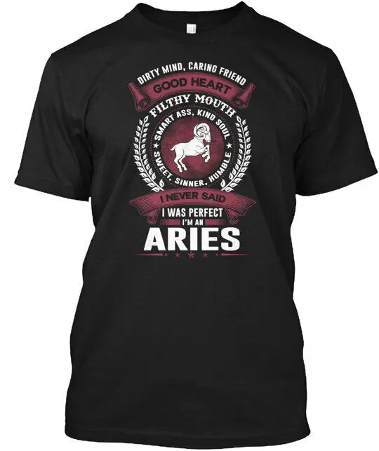 Aries T-Shirt Made in the USA Size S to 5XL